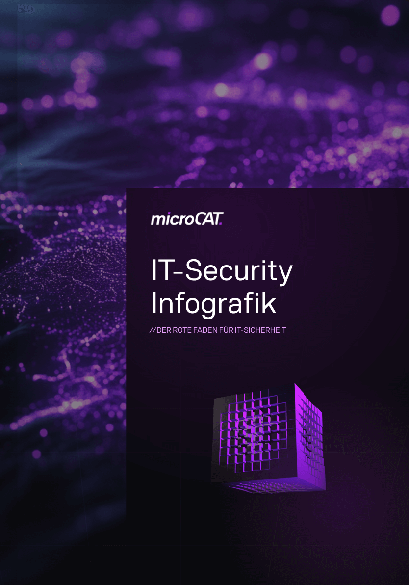 Infografik von microCAT zu IT-Security